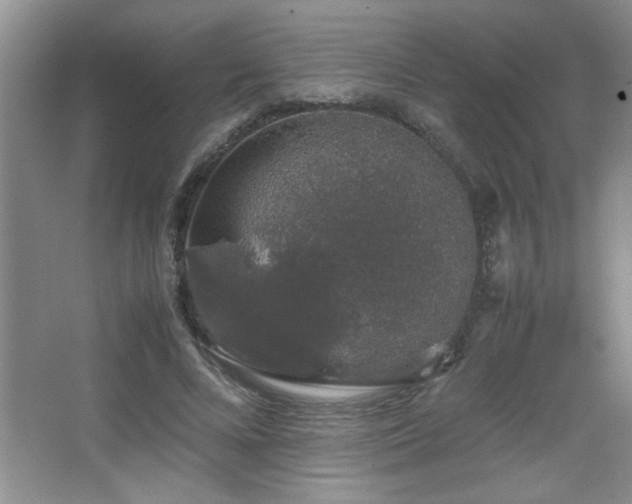 X0000067870688200604131237