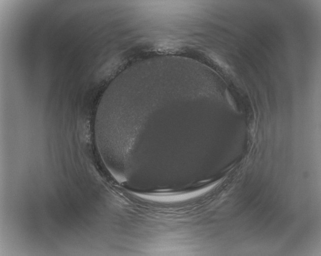 X0000067870689200604131237