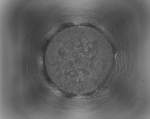 X0000067870691200604131237