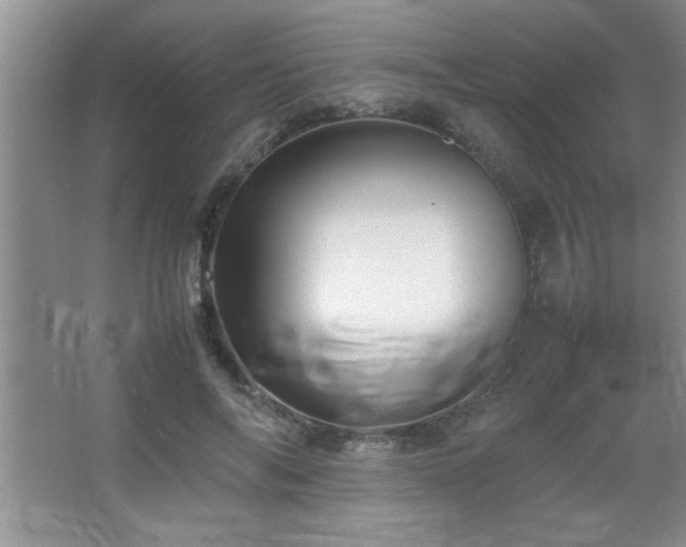 X0000067870694200604131237