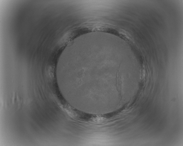 X0000067870695200604131236