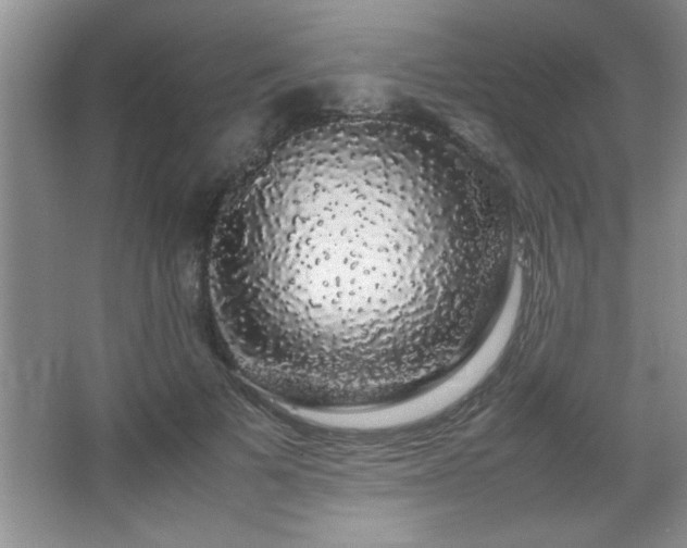 X0000067870697200604131236