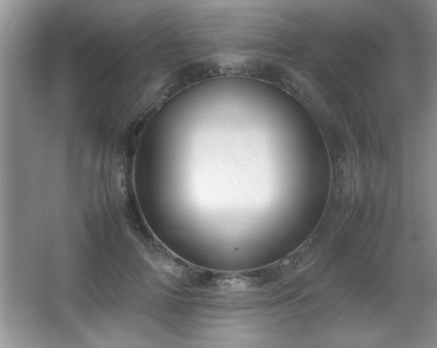 X0000067870698200604131236