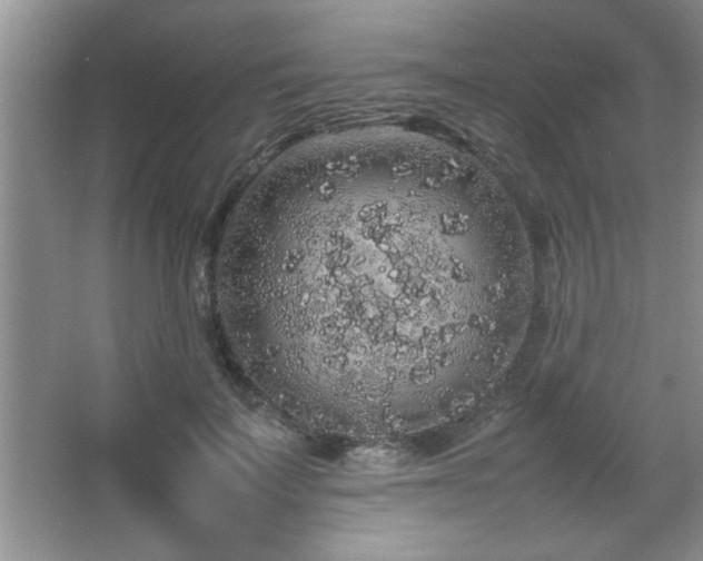 X0000067870699200604131236