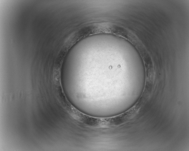 X0000067870701200604131236