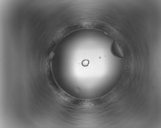 X0000067870702200604131236