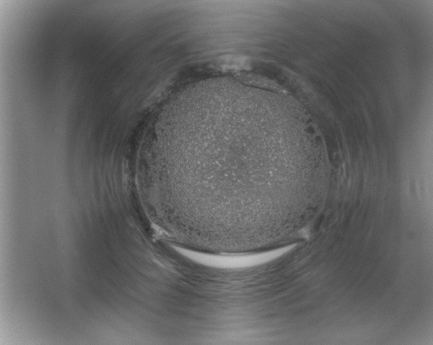 X0000067870704200604131236