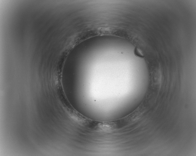 X0000067870706200604131236