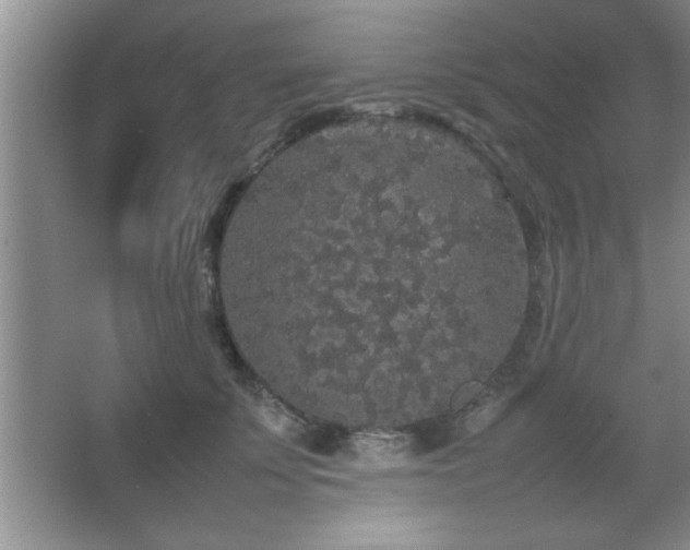 X0000067870707200604131236