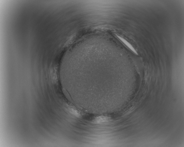 X0000067870708200604131236