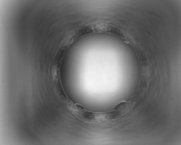 X0000067870709200604131236