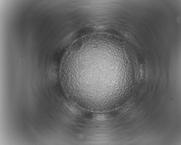 X0000067870710200604131236