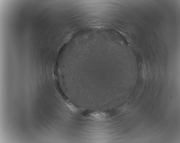 X0000067870712200604131236