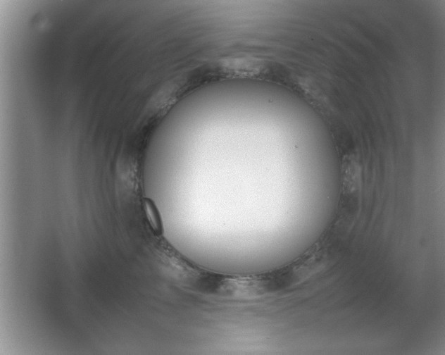 X0000067870713200604131236