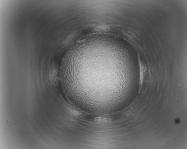 X0000067870714200604131236