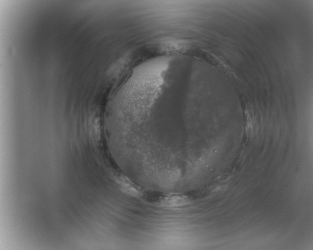 X0000067870716200604131236