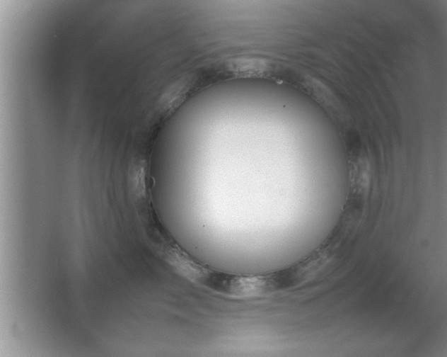 X0000067870717200604131236