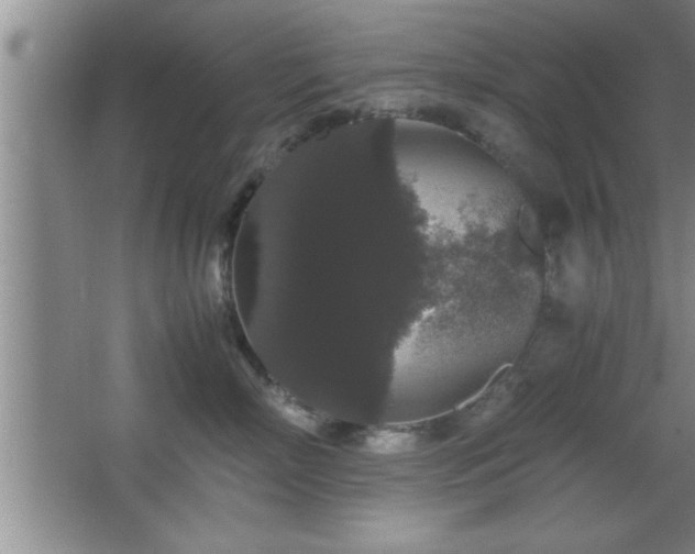 X0000067870718200604131236