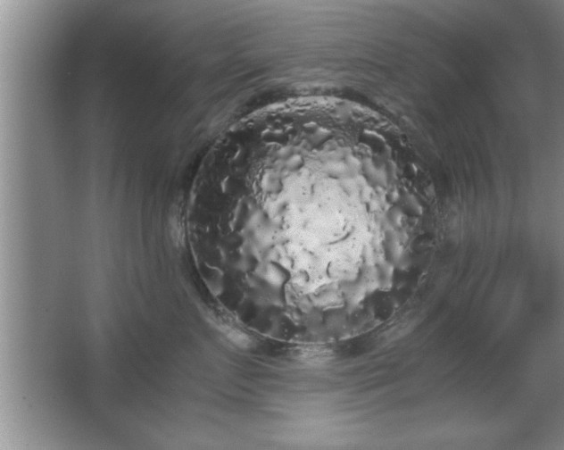 X0000067870719200604131236