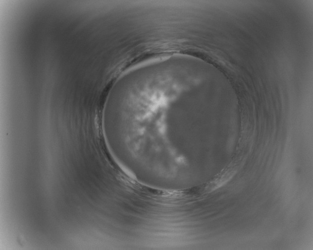 X0000067870720200604131236