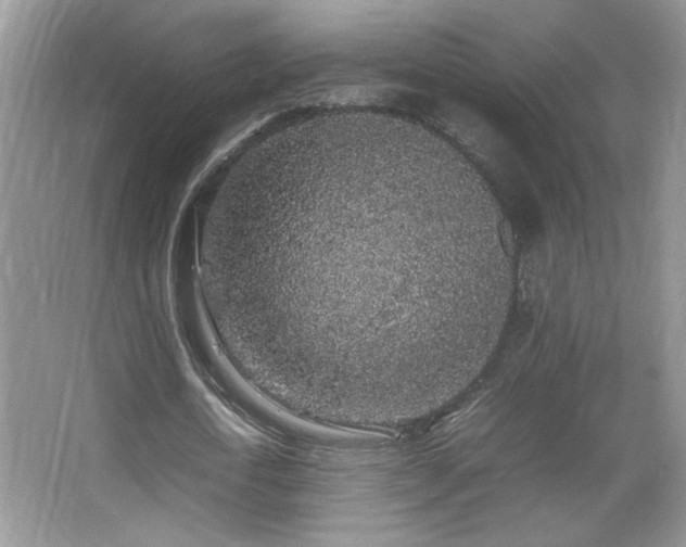 X0000067870722200604131235