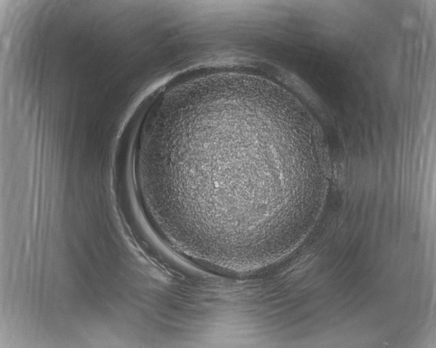 X0000067870724200604131235