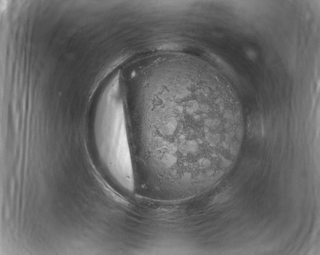 X0000067870725200604131235