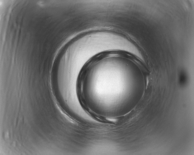 X0000067870726200604131235