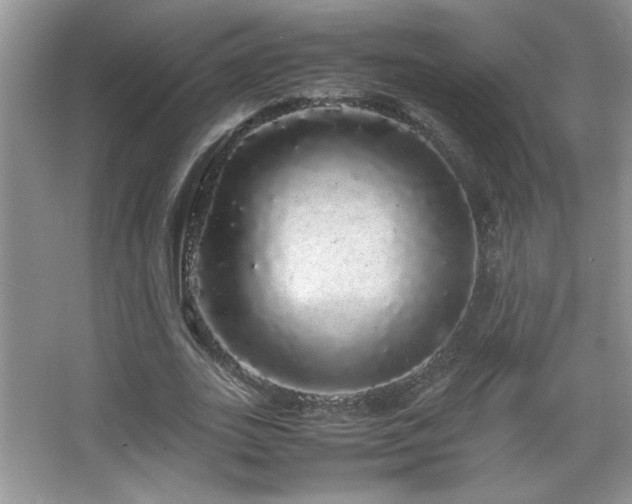 X0000067870727200604131235