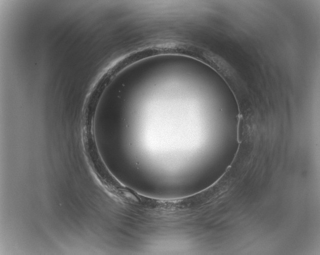 X0000067870728200604131235