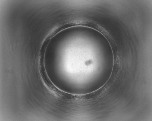 X0000067870730200604131235