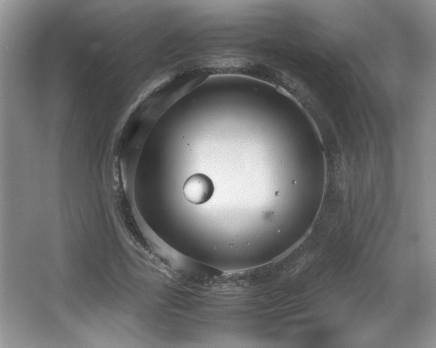 X0000067870731200604131235