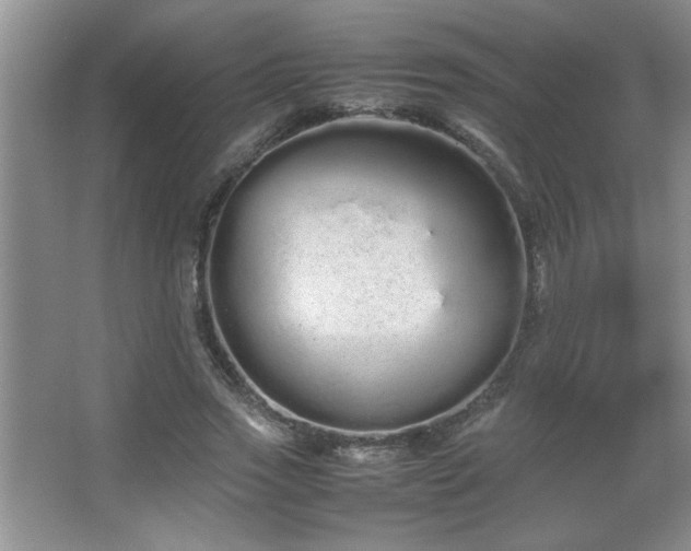 X0000067870733200604131235