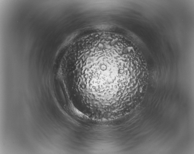 X0000067870734200604131235