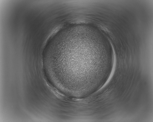 X0000067870735200604131235