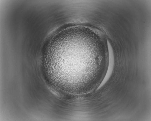 X0000067870736200604131236