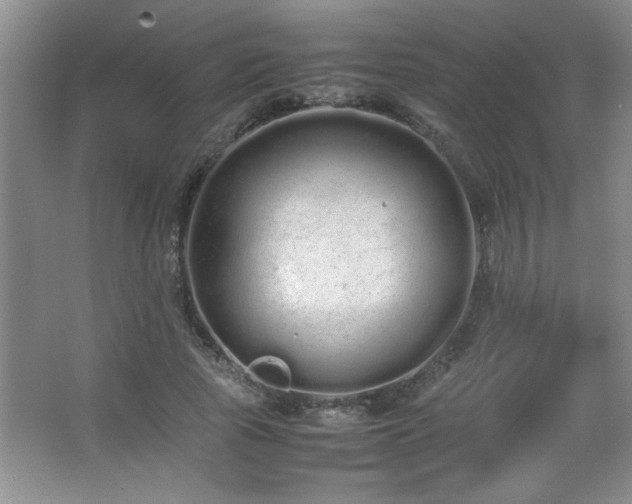 X0000067870737200604131236