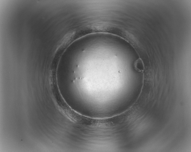 X0000067870738200604131236