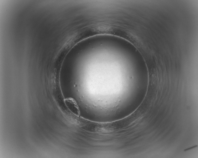 X0000067870739200604131236