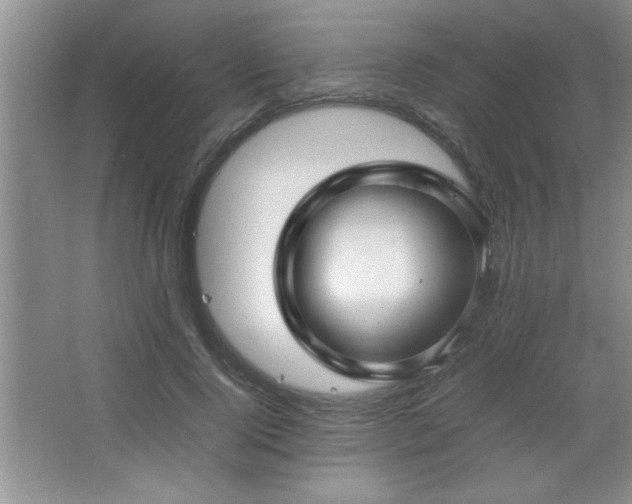 X0000067870740200604131236