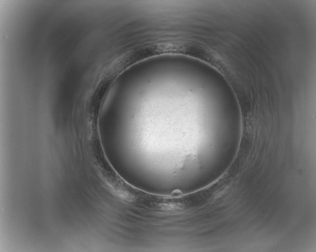 X0000067870741200604131236