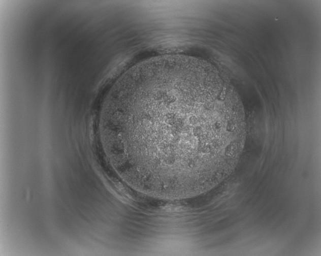 X0000067870742200604131236