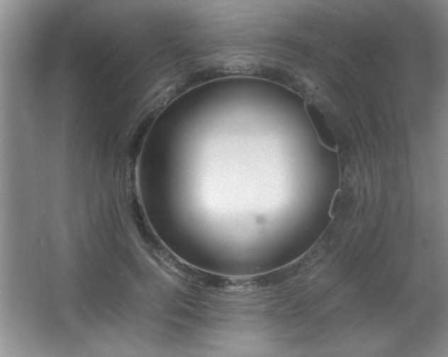 X0000067870744200604131236