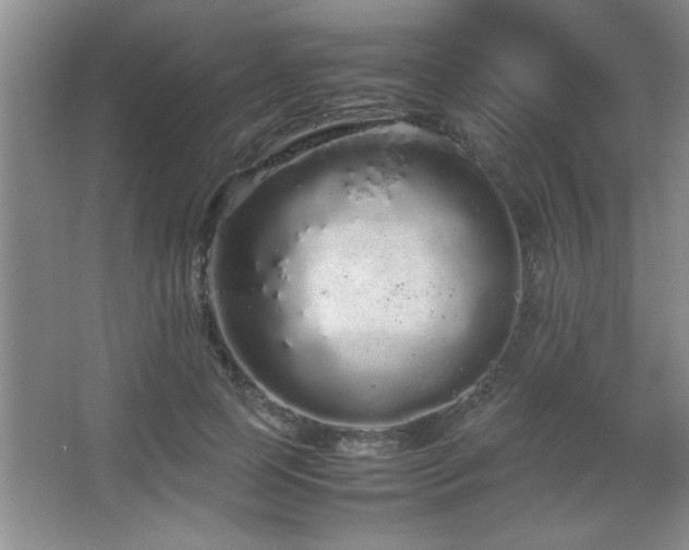 X0000067870745200604131236