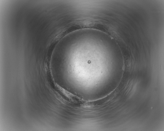 X0000067870746200604131236