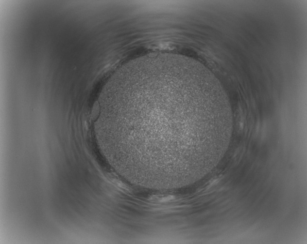 X0000067870747200604131236