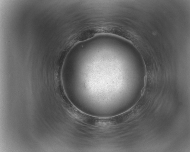 X0000067870749200604131236