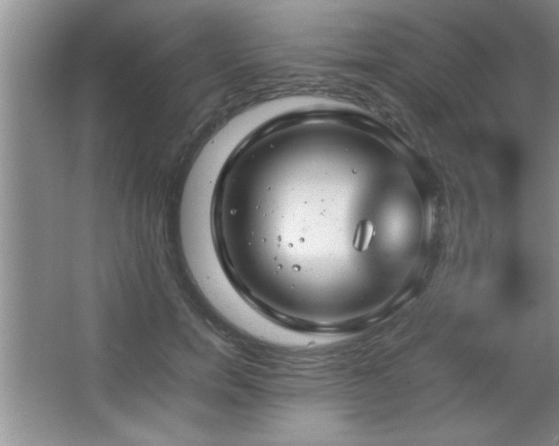 X0000067870750200604131236