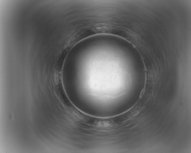 X0000067870751200604131236