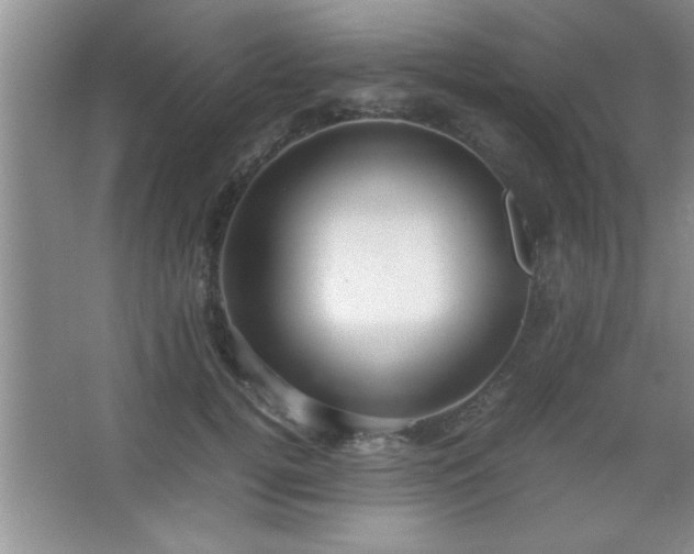 X0000067870752200604131236